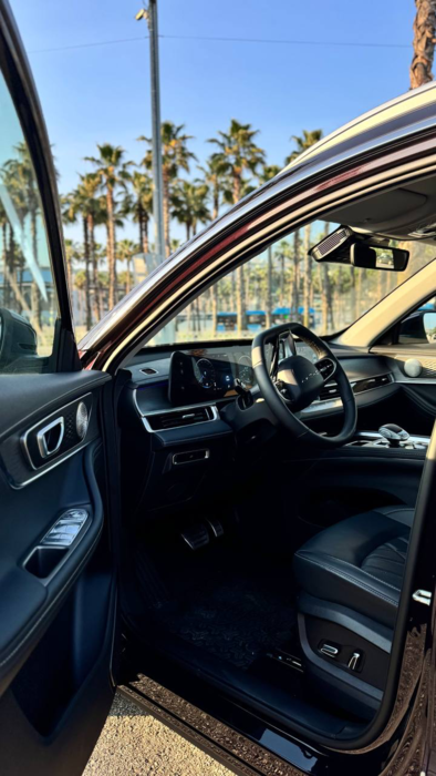 Car&GO - Chery Tiggo 8 PRO MAX 2024, Фиолетовый