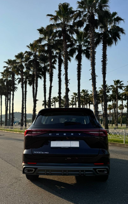 Car&GO - Chery Tiggo 8 PRO MAX 2024, Фиолетовый